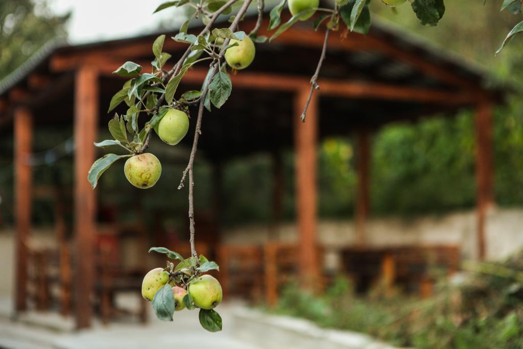 Guest House Dilijan Orran エクステリア 写真